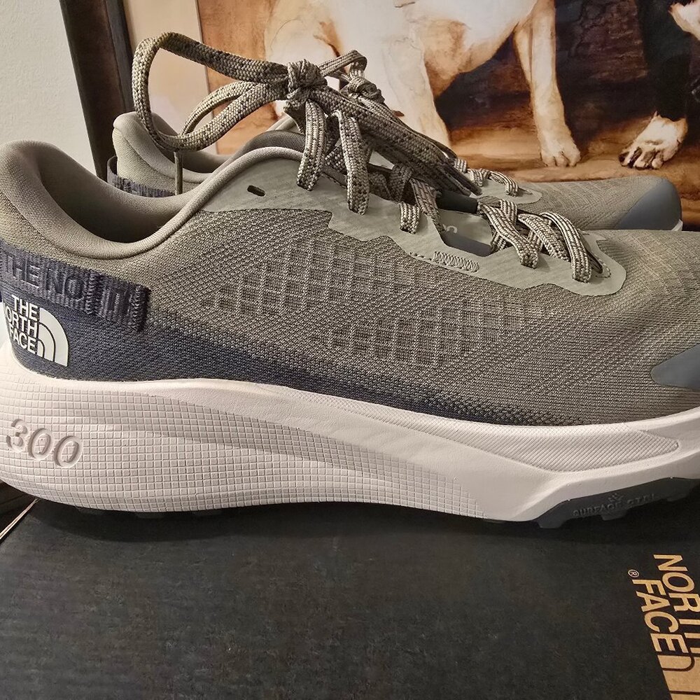 The North Face Mens Altamesa 300 Trail Running Shoes Clay Gray Size 12 US NEW